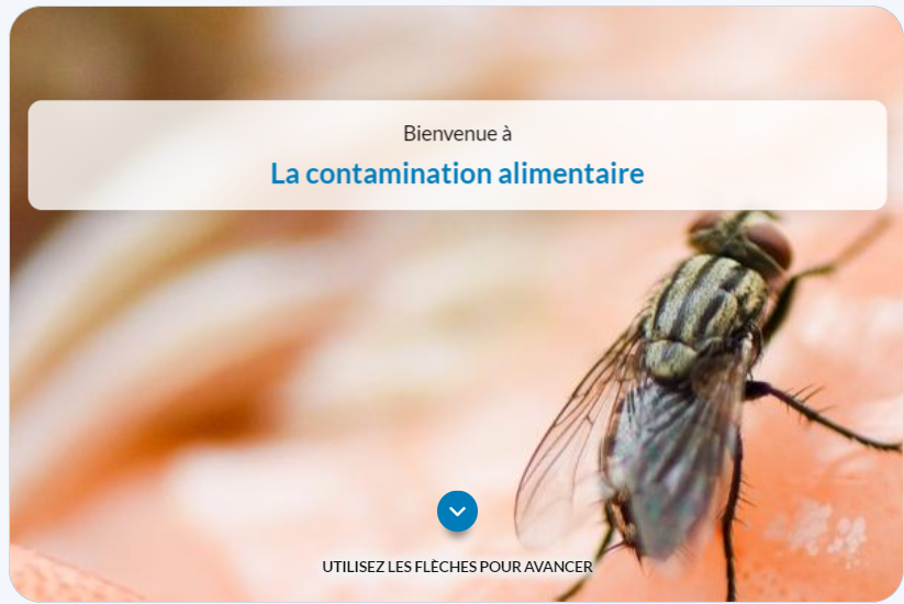 03 Contamination alimentaire