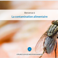 03 Contamination alimentaire