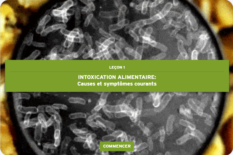 04 Intoxication alimentaire